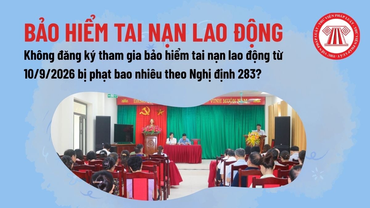 Pháp luật
