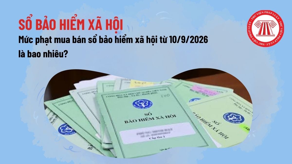 Pháp luật