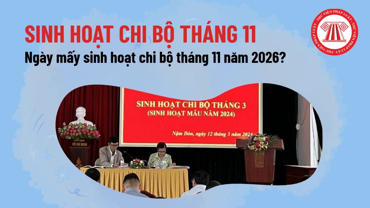 Pháp luật