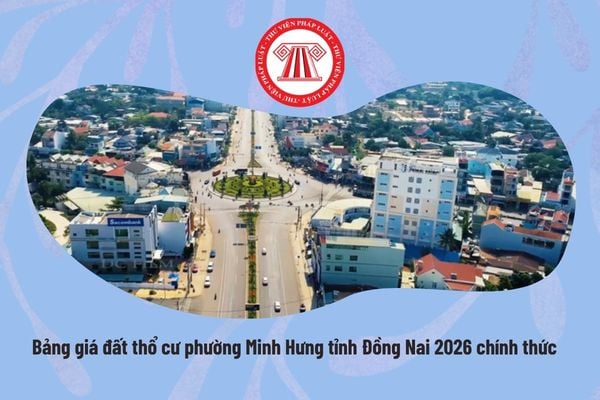 Pháp luật