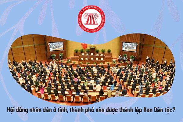 Hội đồng nhân dân ở tỉnh, thành phố nào được thành lập Ban Dân tộc? Cơ cấu Ban Dân tộc gồm những ai?