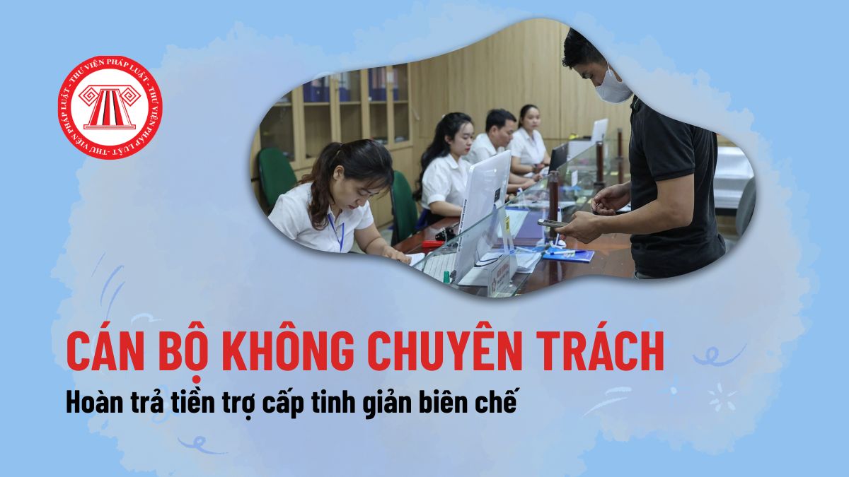 Pháp luật