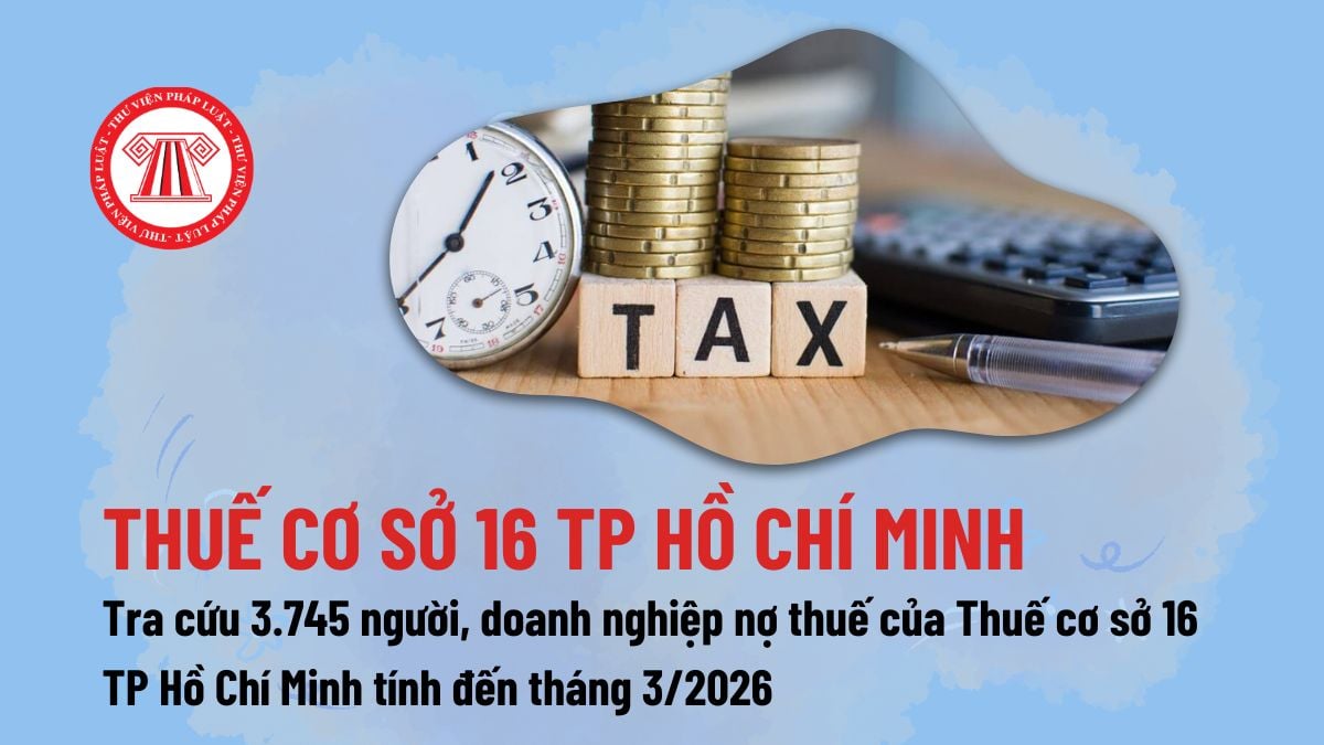 Pháp luật