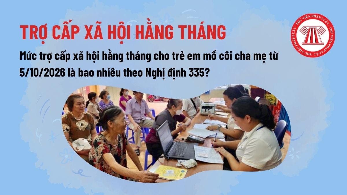 Pháp luật
