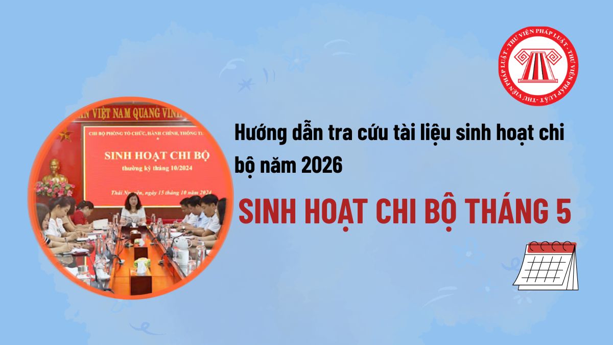 Pháp luật