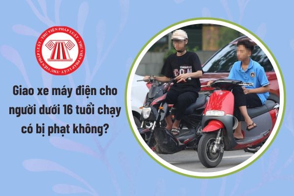 Pháp luật