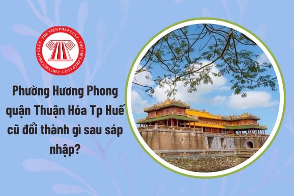 Pháp luật