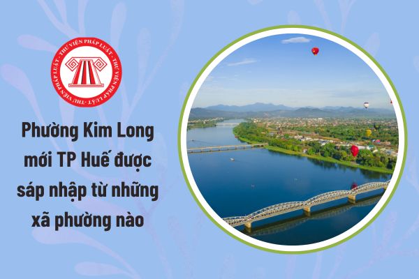 Pháp luật