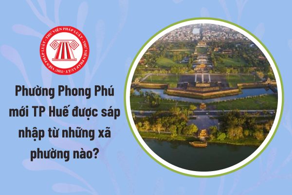 Pháp luật