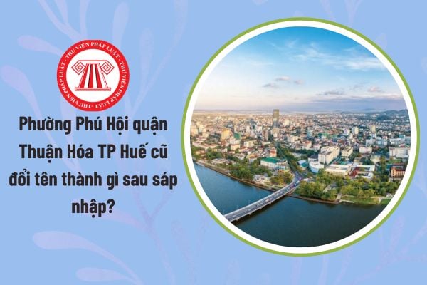 Pháp luật