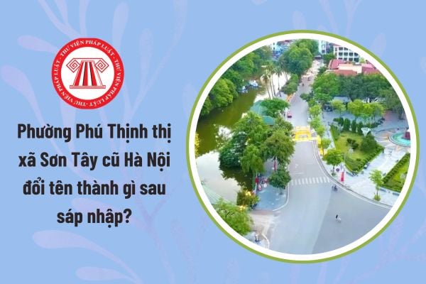 Pháp luật