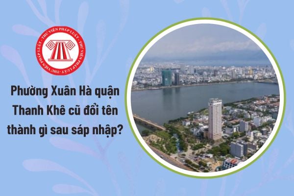 Pháp luật