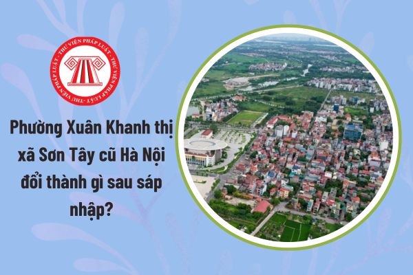 Pháp luật