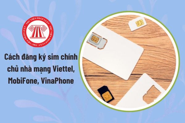 Pháp luật