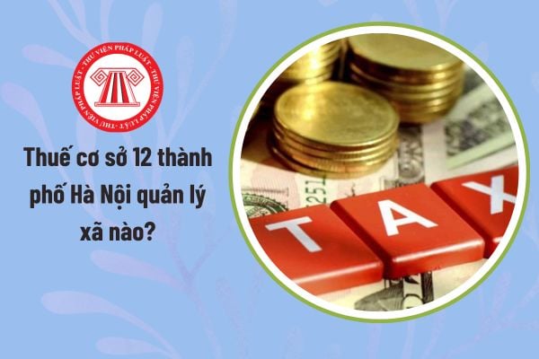 Pháp luật