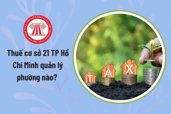 Pháp luật