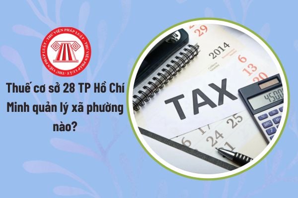 Pháp luật