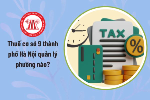 Pháp luật
