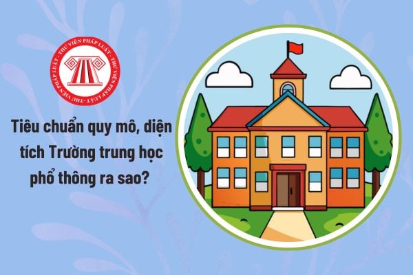 Tiêu chuẩn quy mô, diện tích Trường trung học phổ thông ra sao? Giáo dục trung học phổ thông được thực hiện trong mấy năm?