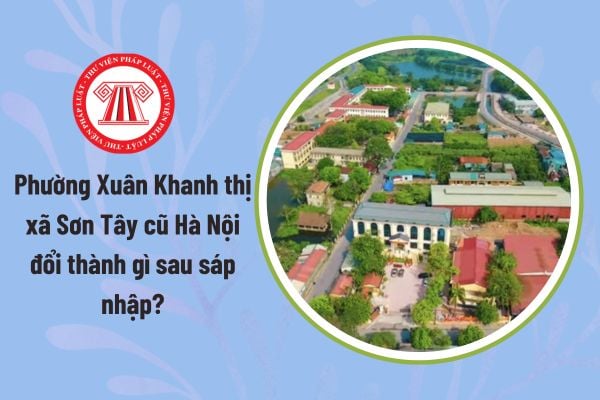 Pháp luật