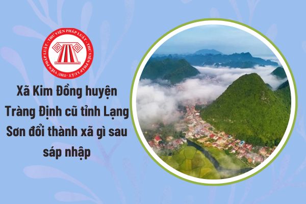 Pháp luật