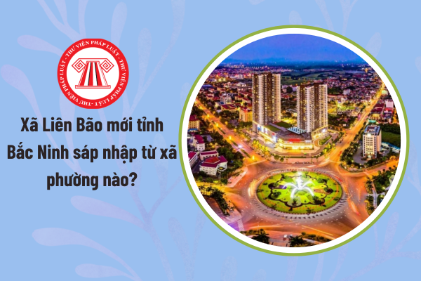 Pháp luật