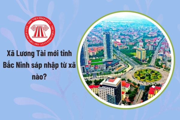 Pháp luật