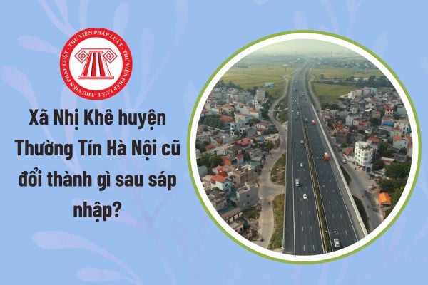 Pháp luật