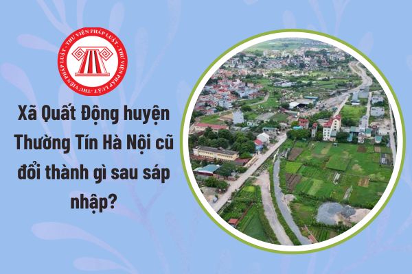 Pháp luật
