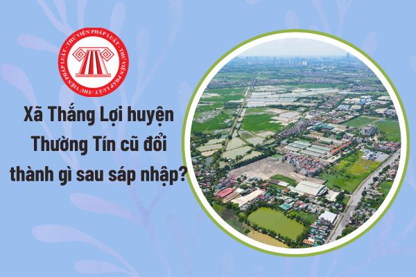 Pháp luật