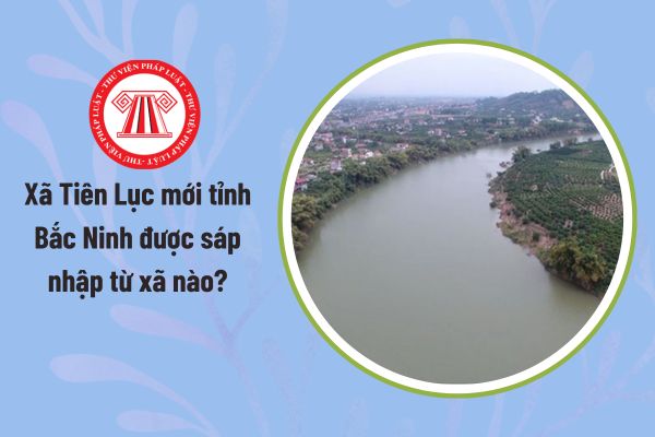 Pháp luật
