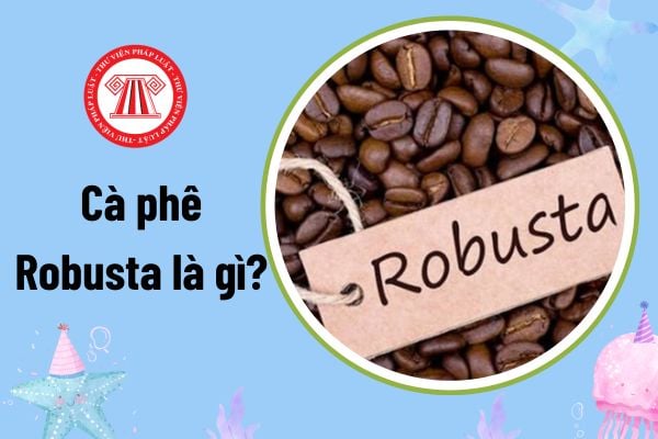 Cà phê Robusta là gì? Cà phê Việt Nam là Arabica hay Robusta? Cà phê Robusta có phải là mặt hàng bình ổn giá?