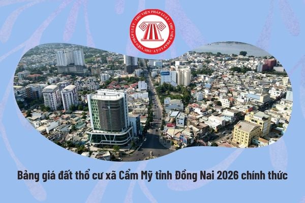 Pháp luật