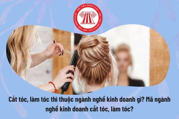 Pháp luật