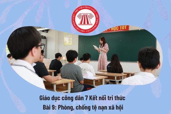 Pháp luật