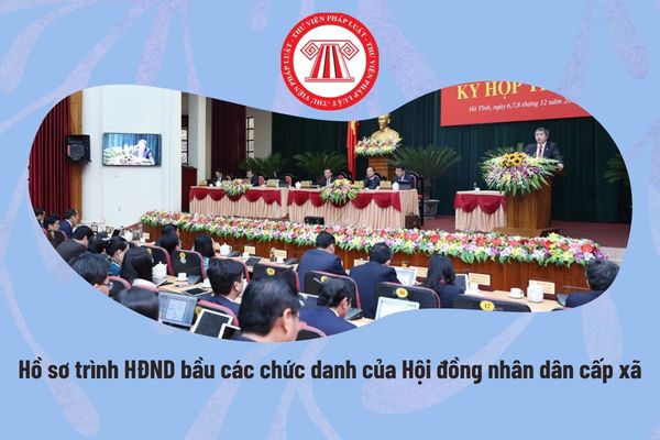 Pháp luật
