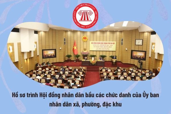 Pháp luật