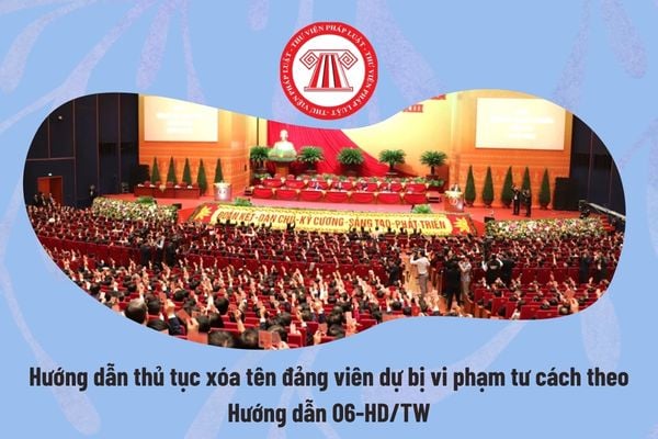 Pháp luật