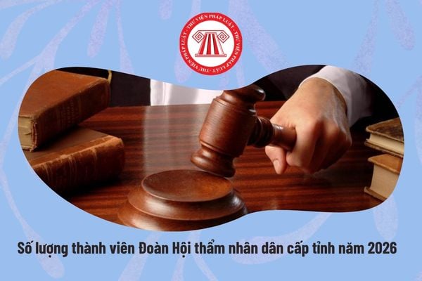Pháp luật