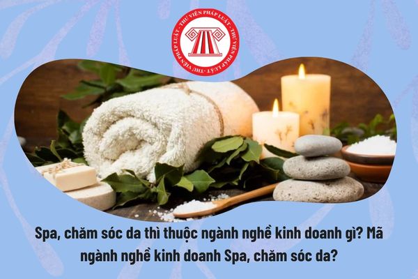 Pháp luật