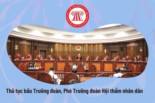 Pháp luật