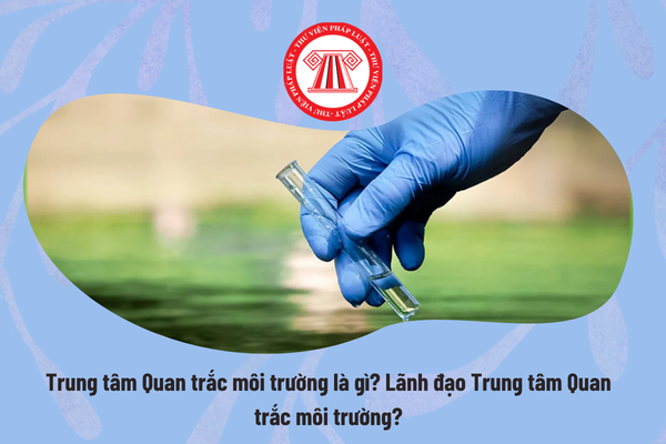Pháp luật