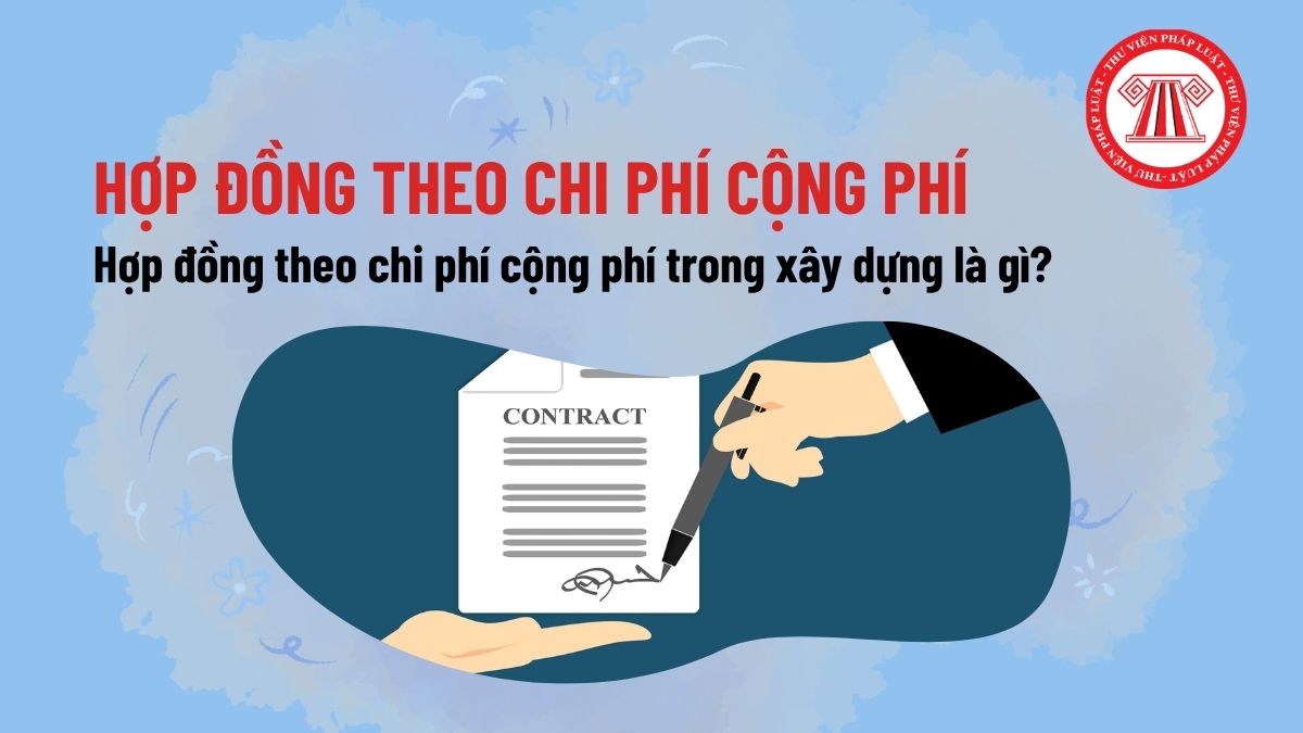 Pháp luật