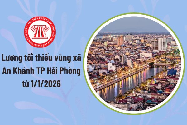 Pháp luật