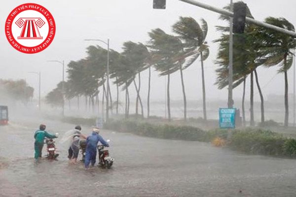 Đối tượng dễ bị tổn thương là ai? Nguyên tắc huy động, vận động đóng góp tự nguyện có ưu tiên đối tượng dễ bị tổn thương không?