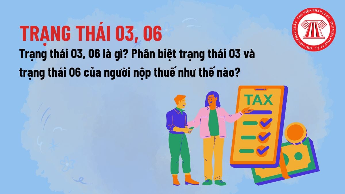 Pháp luật