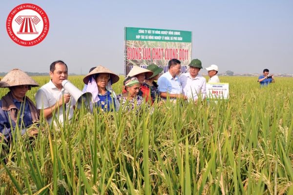 Mẫu đơn đăng ký nhu cầu hỗ trợ hợp tác xã mới nhất theo Nghị định 113? Hồ sơ đăng ký nhu cầu hỗ trợ bao gồm gì?