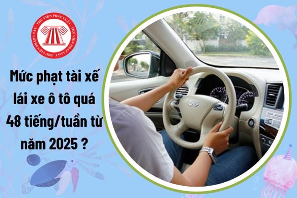 Mức phạt tài xế lái xe ô tô quá 48 tiếng/tuần từ năm 2025