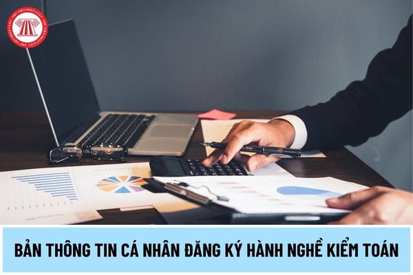 Bản thông tin cá nhân nộp hồ sơ đăng ký hành nghề kiểm toán mới nhất năm 2024 như thế nào?