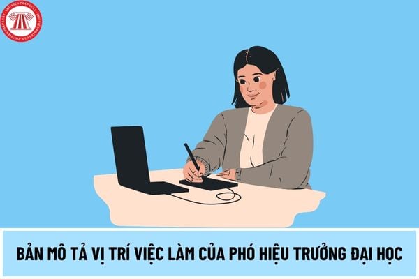 Bản mô tả vị trí việc làm của Phó hiệu trưởng đại học như thế nào theo quy định từ ngày 15/5/2024?